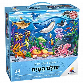 ���� ���� ���� ���� 48 �����