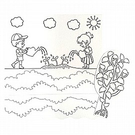 ����� ���� ���� 36 ������