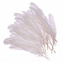 ����� ����� 180 ������