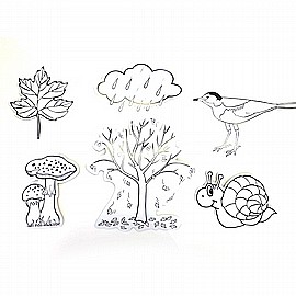 ���� ����� ������ 36 ������