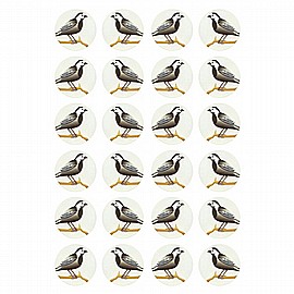 ������ ������� 10 ����