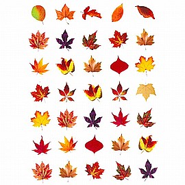 ������ ��� ���� ����� 10 ����