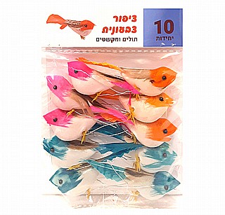 ���� 10 ������� �������� 8 �"�