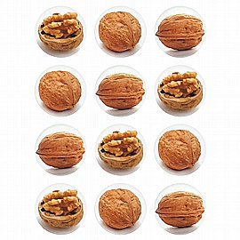 ������ ������ 10 ����