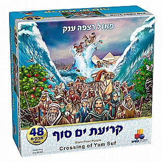 ���� ���� ��� ����� �� ��� 48 �����