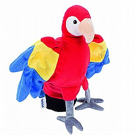 ���� ���� ����� - ����