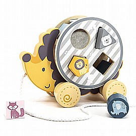 ����� ������ ����� ����� ���