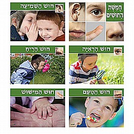 ���� ������ ���� ������ ����