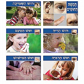 ���� ������ ���� ������ ����