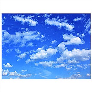 ������ ����� 50*70 �"� - ����