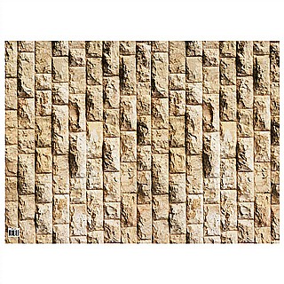 ������ ����� 50*70 �"� - ����� ��������