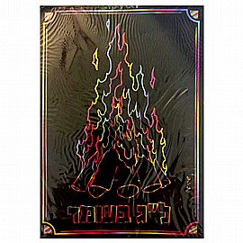 ����� ������ �"� �����