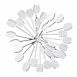 ��� ���� ������ ��� 36 ������