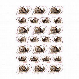 ������ ������ ����� 10 ����