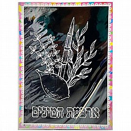 ���� 10 ������ ����� ����� ������ 20*27 �"�