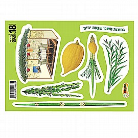 ������ ���� ����� 18 ������