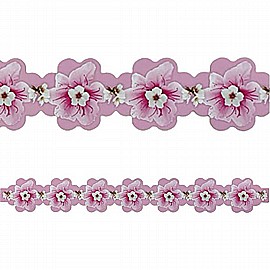 ��� ���� ����� 18 ������