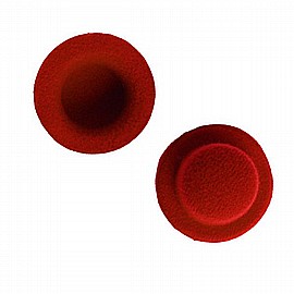 ���� 10 ���� ��� ������ ����