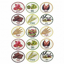 ������ ���� ������ ���� 10 ����