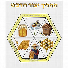 מארז 10 דף צביעה והדבקה תהליך יצור דבש 21*29 ס"מ מארז 10 דף צביעה והדבקה תהליך יצור דבש 21*29 ס"מ
