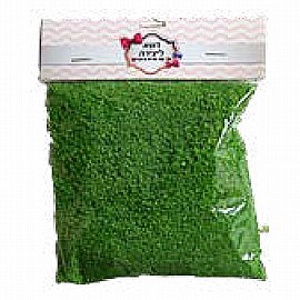 ��� ���� ������