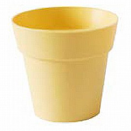 ���� ��� ����