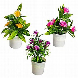 ���� �� ����� ����� �����