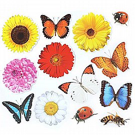 ���� ����� �������: �����, ������, ������, ��������