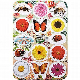 ������ ���� ����� 18 ������