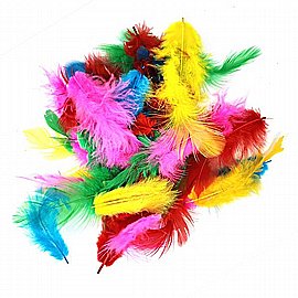 ����� ����� ������ 2 ���