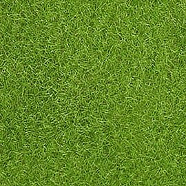 ���� ��� ������  25*25 �"� ���� ����