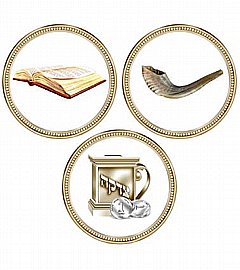 ������ ���� ���� 20 ������