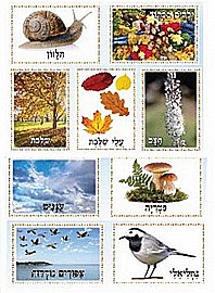 ���� 9 ������ - ����� �����