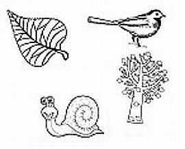 ���� ����� ������ 36 ������