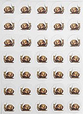 ������ ������ - 10 ����