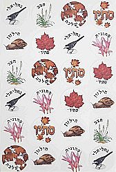 ������ ����� ����� - 10 ����