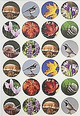 ������ ���� 10 ����