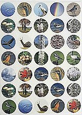 ������ ���� 10 ����