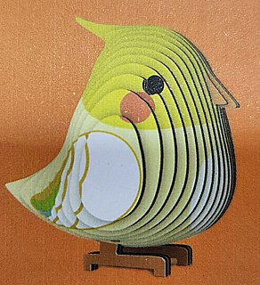 ���� ����� ��� ����� ������ - �����