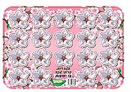 ������ ���� ����� 18 ������