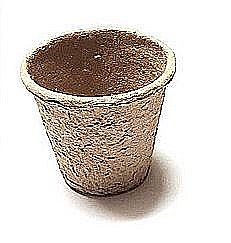 ���� 18 ���� �����