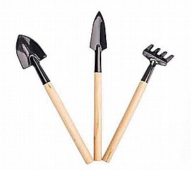 ������ ��� ���� ���� �� + ����