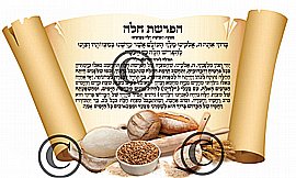 הפרשת חלה בחיתוך צורני בתוספת הטבעת זהב 20 יחידות הפרשת חלה בחיתוך צורני בתוספת הטבעת זהב 20 יחידות