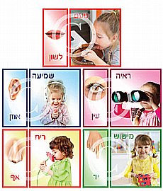 ערכת תמונות חמשת החושים - בנות ערכת תמונות חמשת החושים - בנות