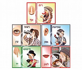 ���� ������ ���� ������ - ����