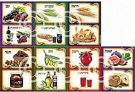 ���� ������ ���� ������