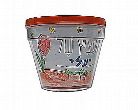 ���� ���� ������ ������