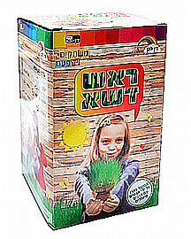 ����� ��� ��� ��� ����