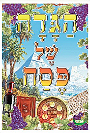 ���� ���� ������ ������ 16 ������