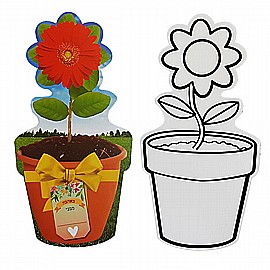 ����� ��� ����� �� ���� ������ ����� ���